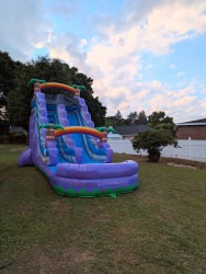 18 FT Purple Palms Water Slide