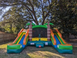 1405 1777242928 Double Palm Tree Combo Wet/Dry